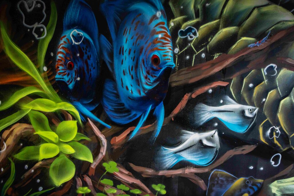 2025 Graffiato Murals That Green Olive 47