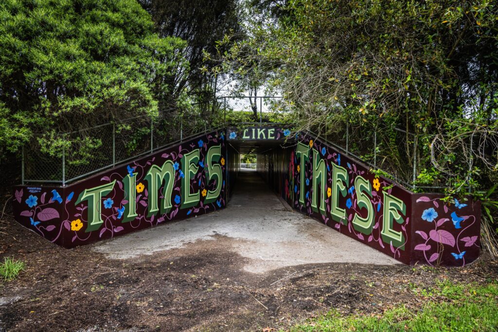 2025 Graffiato Murals That Green Olive 41